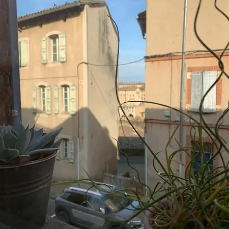 Villa Maison De Au Bord Des Berges Du Tarn Albi